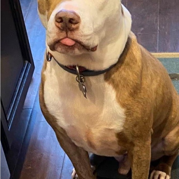 Meet your Posher, CathyBunny - Picture 14 of 16